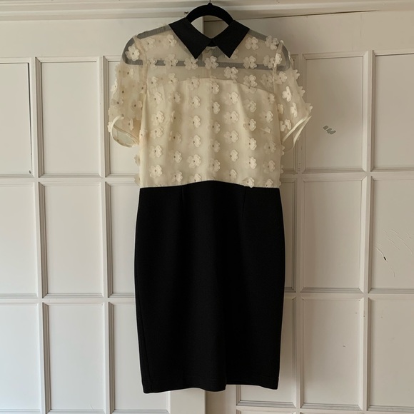 Karl Lagerfeld Dresses & Skirts - Karl Langerfeld dress sz 8
